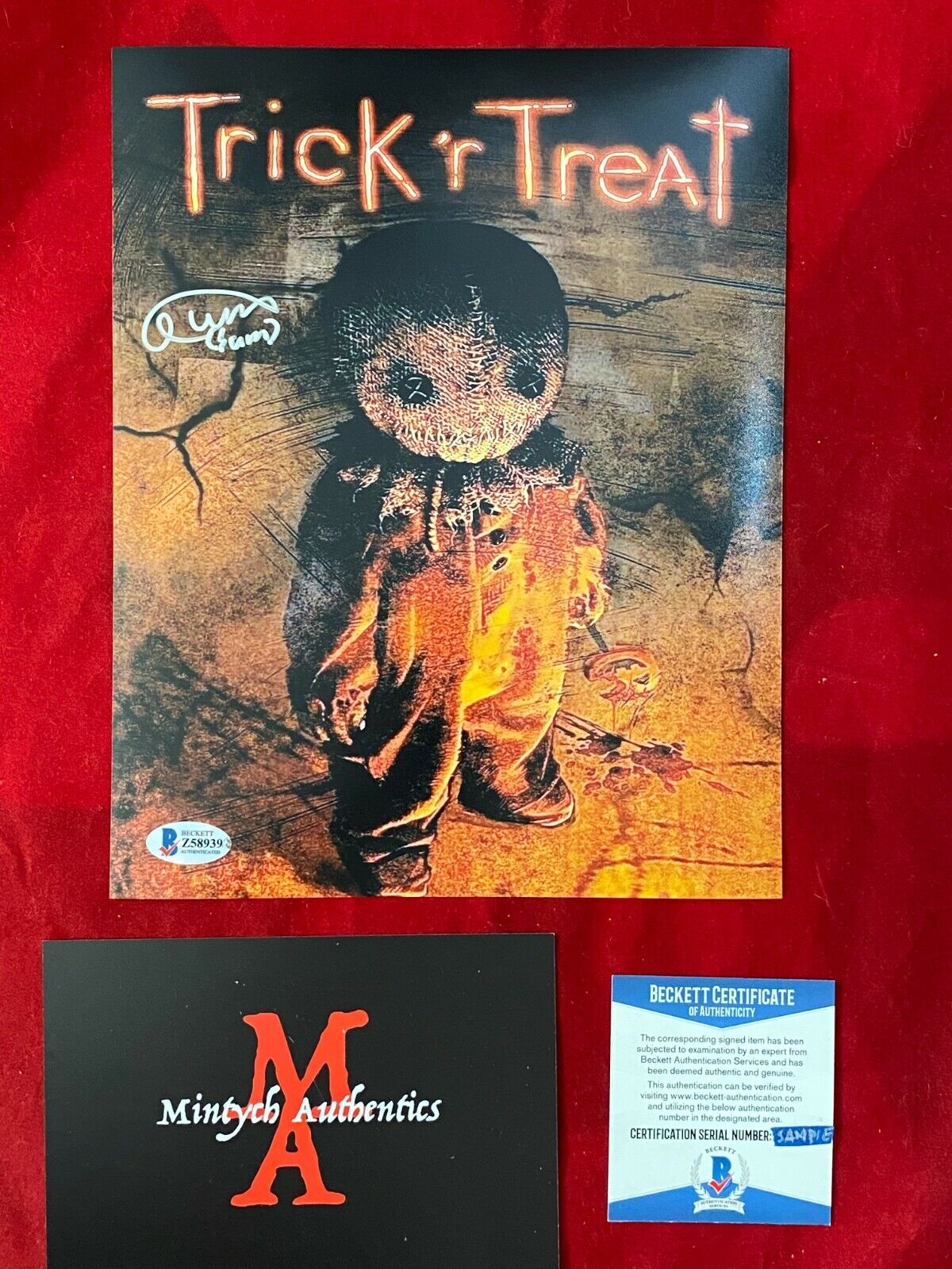 QUINN LORD TRICK 'R TREAT AUTOGRAPHED SIGNED 8x10 Photo Poster painting! BECKETT! HORROR! SAM!