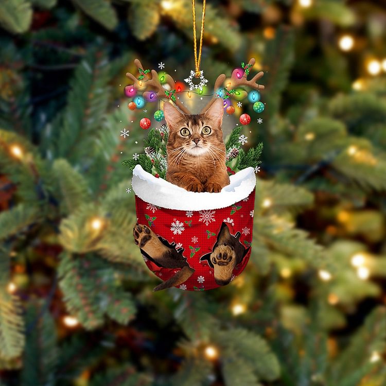 Cat 19 In Snow Pocket Christmas Ornament