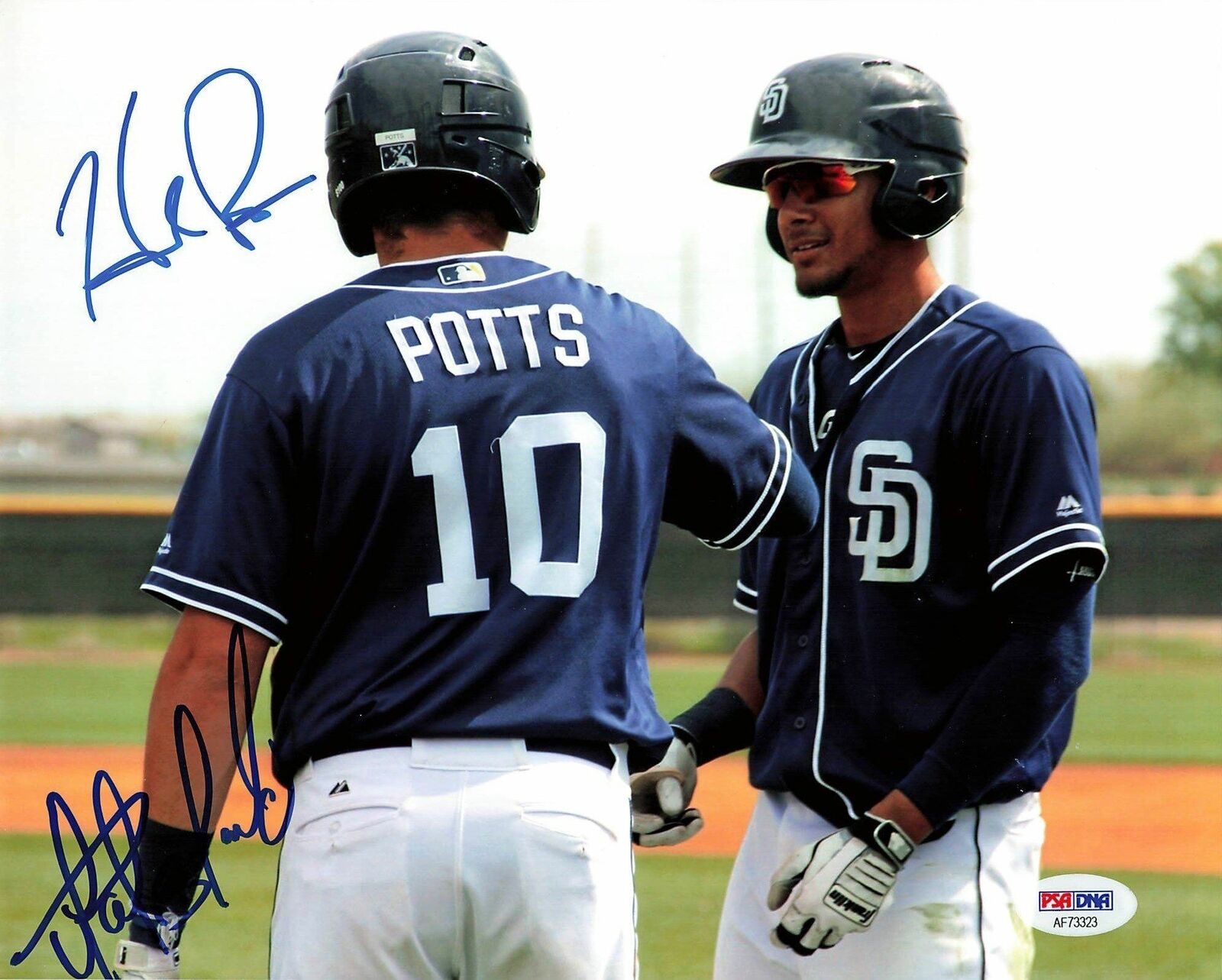 FERNANDO TATIS JR. Hudson Potts signed 8x10 Photo Poster painting PSA/DNA San Diego Padres Auto