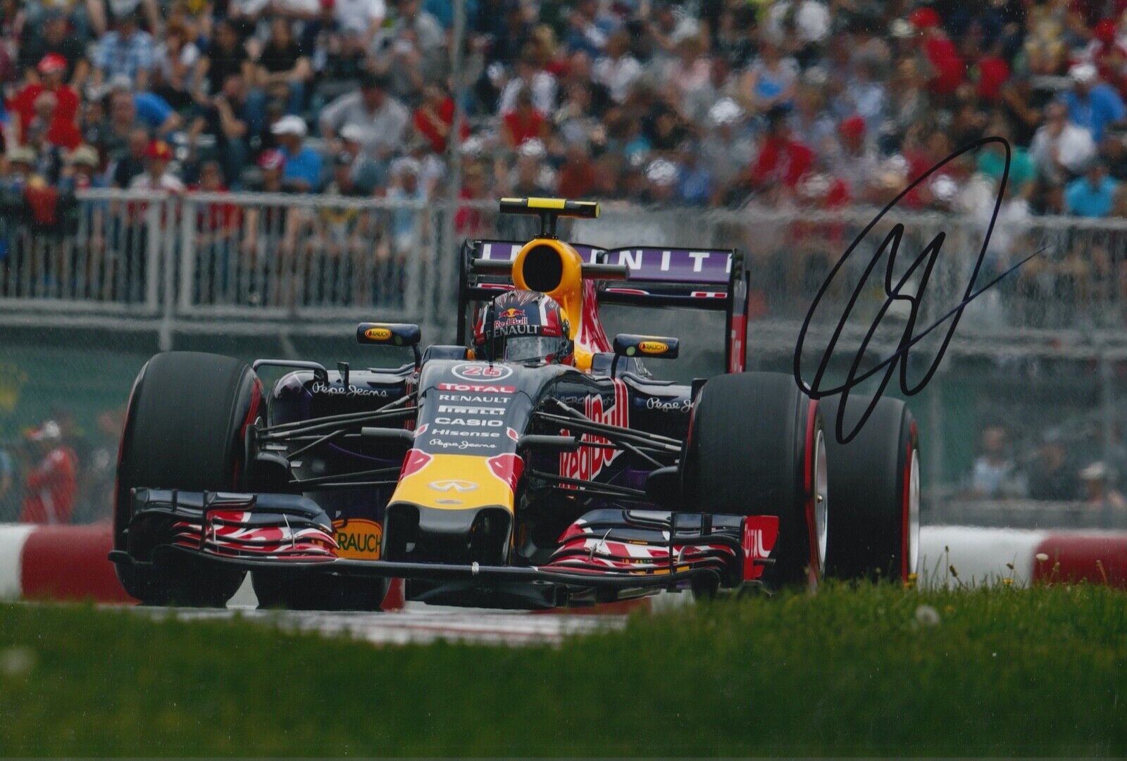 Daniil Kvyat Hand Signed 12x8 Photo Poster painting F1 Autograph Red Bull Racing 10