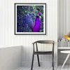 uk.everydayedeals (Limited Stock)Paint By Number - Oil Painting -  Peacock (40*40Cm)