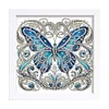 5D DIY Partial Special Shaped Drill Diamond Painting Kit Butterfly Decor With Frame Kit 18x18cm