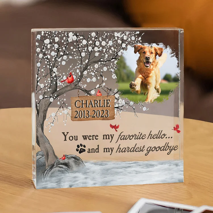 Personalized Pet Acrylic Memorial Plaque Custom Photo & Name & Date Cardinal Square Keepsake - You Were My Favorite Hello... And My Hardest Goodbye