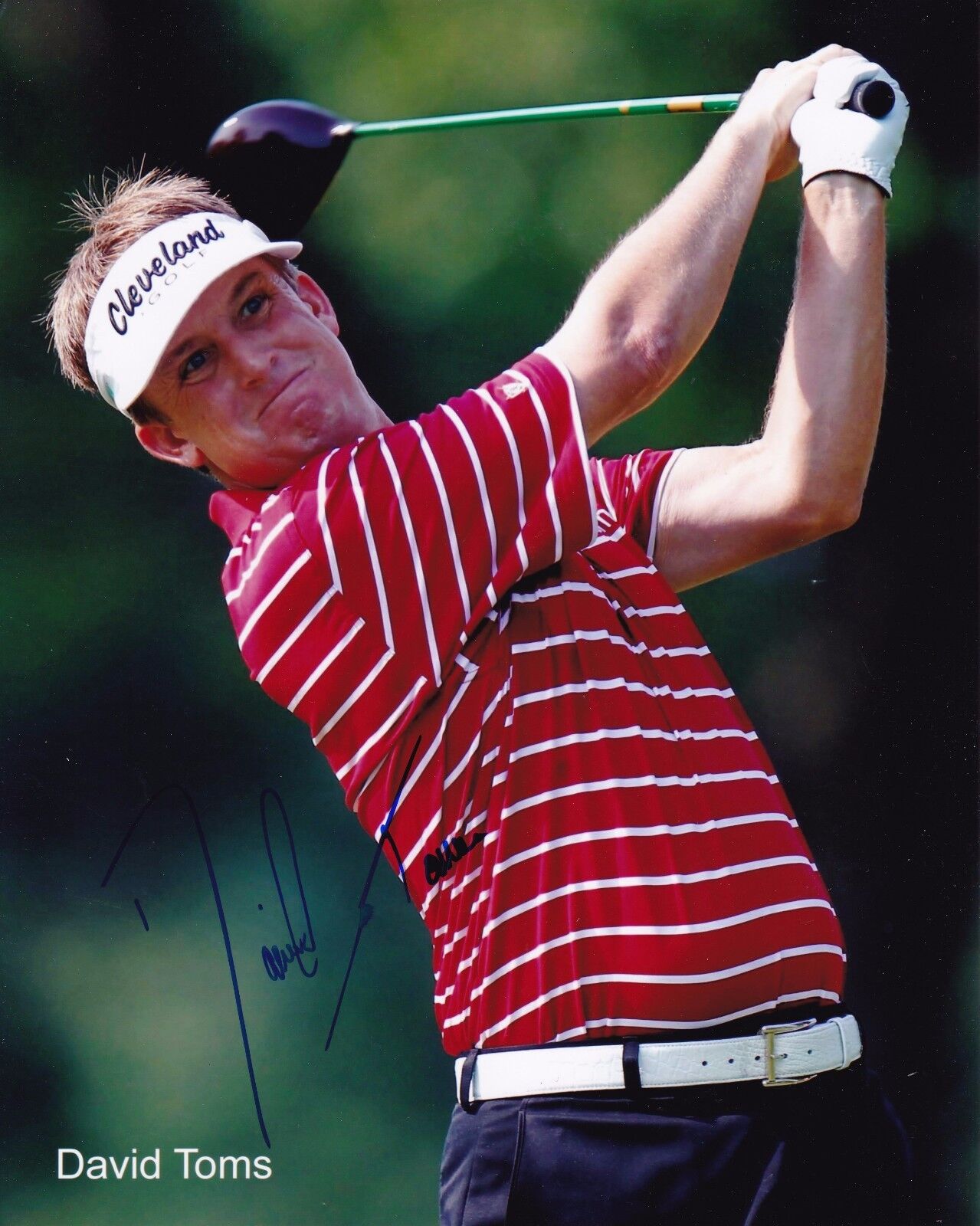 David Toms autographed 8x10 Photo Poster paintingC715