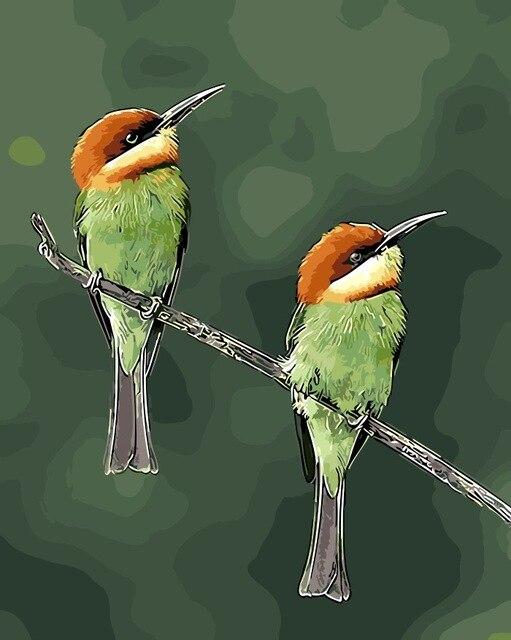 

Birds – Paint By Numbers - 40*50CM, 501 Original