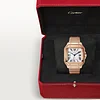 SANTOS DE CARTIER WATCH WGSA0031