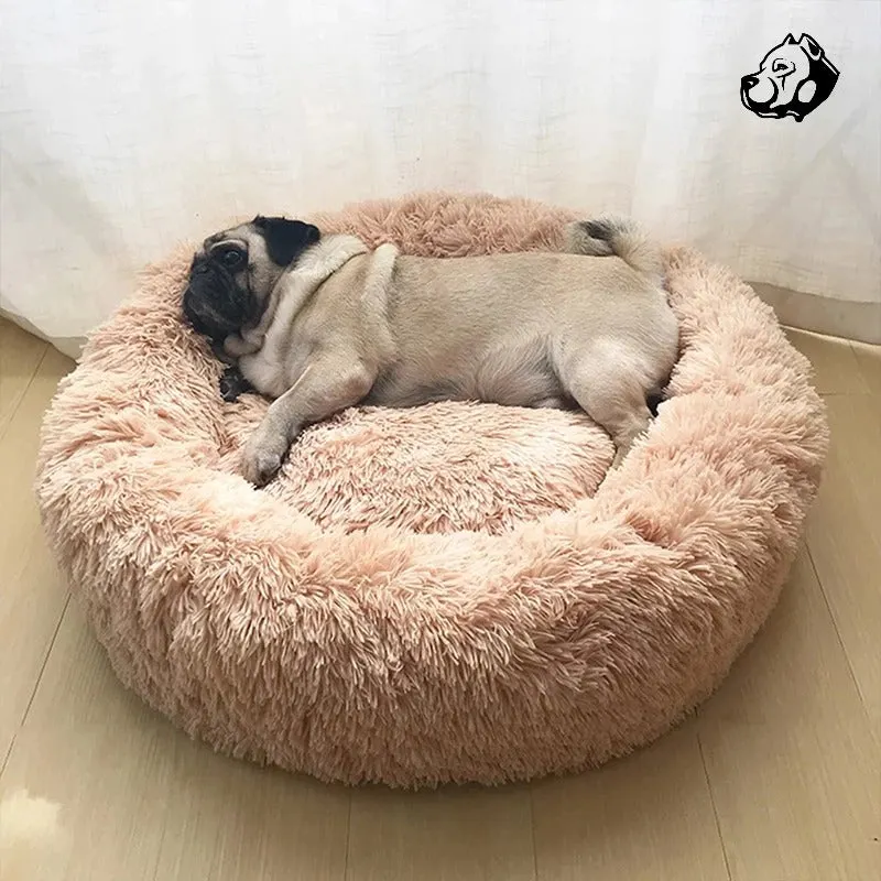 Calming Bed