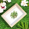 12pcs Potted Plant 5D DIY Square Drill Diamond Painting Kits for Adults Beginners Home Decor Diamonds Paintings Gem Art 5.91x7.09in