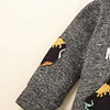 Kid Baby Boy Autumn Winter Letter Dinosaur Print 2 Pcs Sets Suit