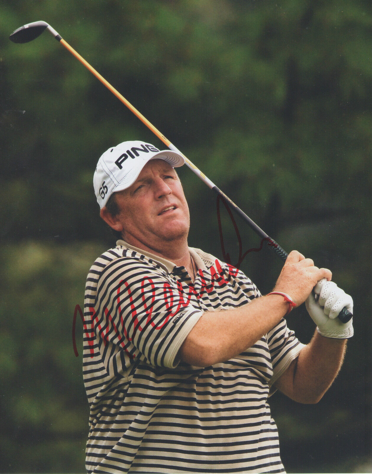 Mark Calcavecchia *PGA Champion* Signed Autograph 8x10 Photo Poster painting C2 COA GFA