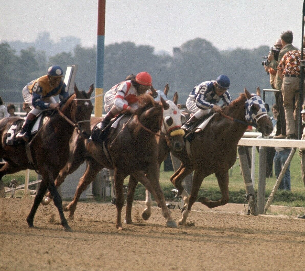 1973 Ron Turcotte SECRETARIAT Belmont Stakes Horse Racing 8x10 Photo Poster painting TripleCrown