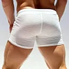 Men's Sexy Lace-up Shorts For Home Leisure And Comfort Fitness Shorts by Inlyline