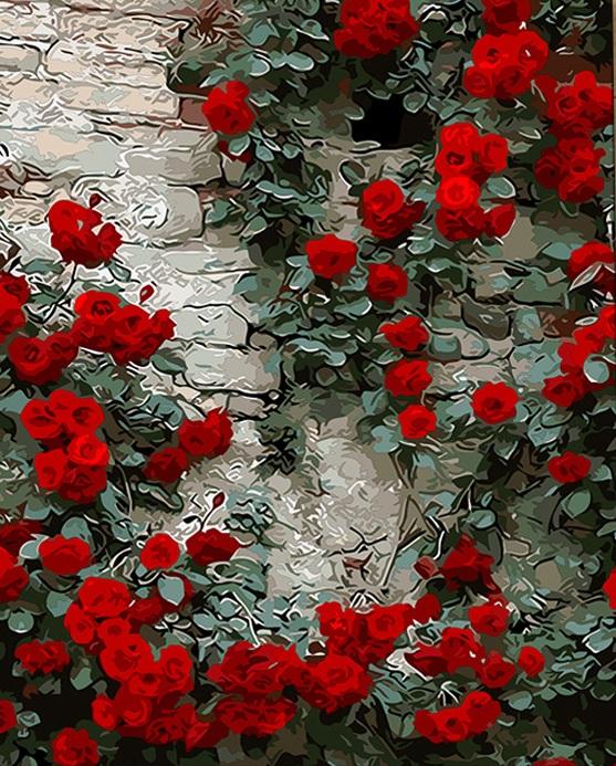 

Rose Flowers – Paint By Numbers - 40*50CM, 501 Original