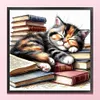 Books And Cats-11CT Stamped Cross Stitch 40*40cm/15.75*15.75in tapestrymarket