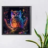 5D diy volle runde Bohrer Diamantmalerei leuchtende Eule Kit Heimdekoration 50x50cm