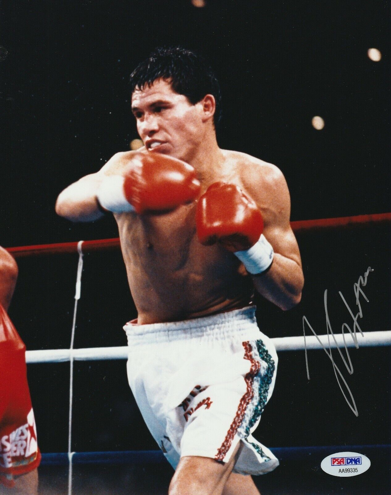 JULIO CESAR CHAVEZ Signed 8x10 In the Ring Photo Poster painting w/ PSA COA