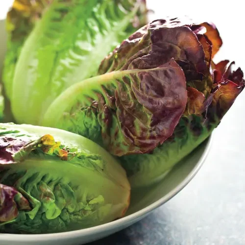 Nasiona sałaty Mini Romaine Blend (P) Opakowanie 100 nasion