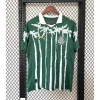 25/26 Palmeiras Special Edition Soccer Jersey