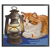 Orange Cat and Kerosene Lamp Partial Stamped Cross Stitch Kit 14CT 2 Strands 42x38cm