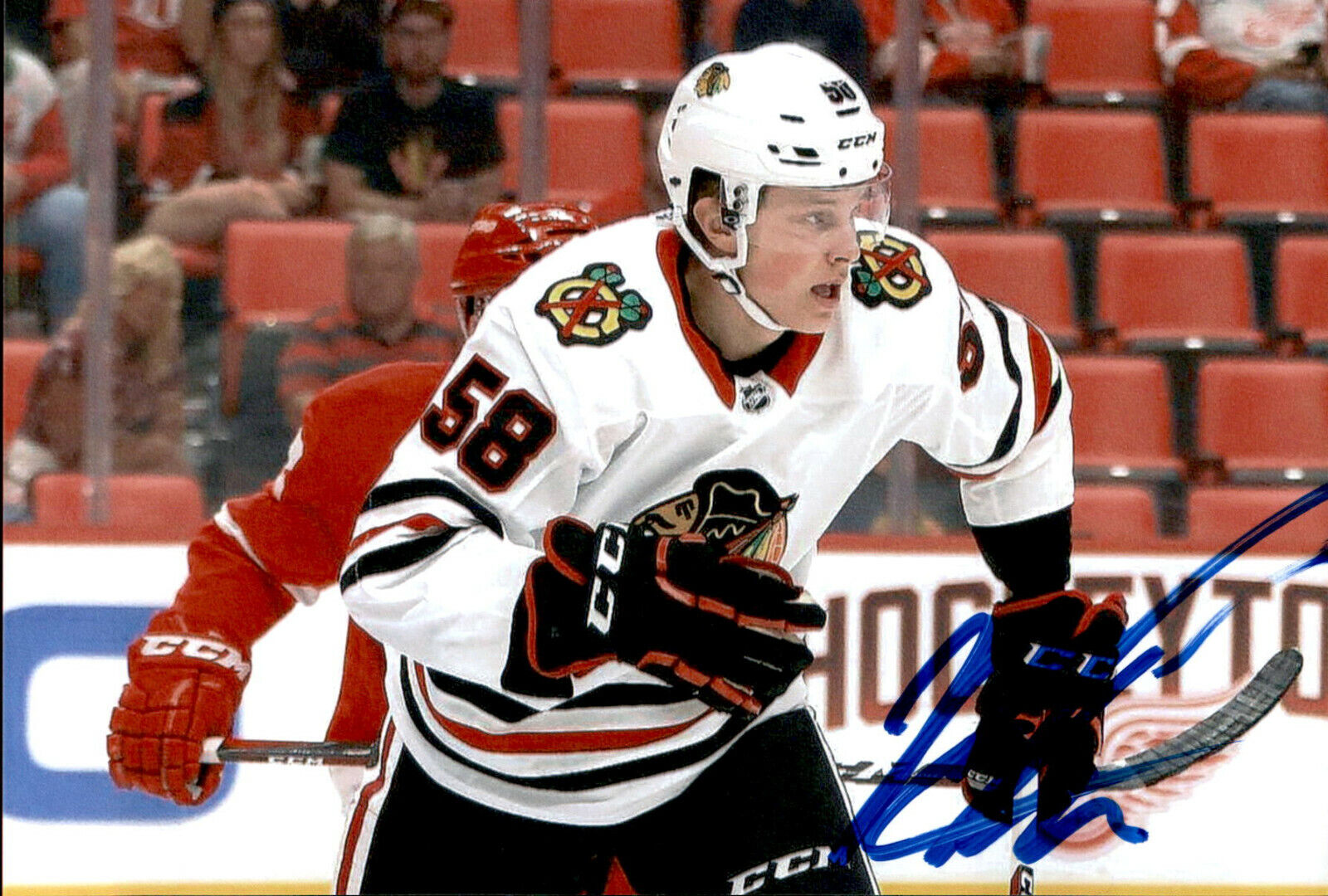 MacKenzie Entwistle SIGNED 4x6 Photo Poster painting CHICAGO BLACKHAWKS