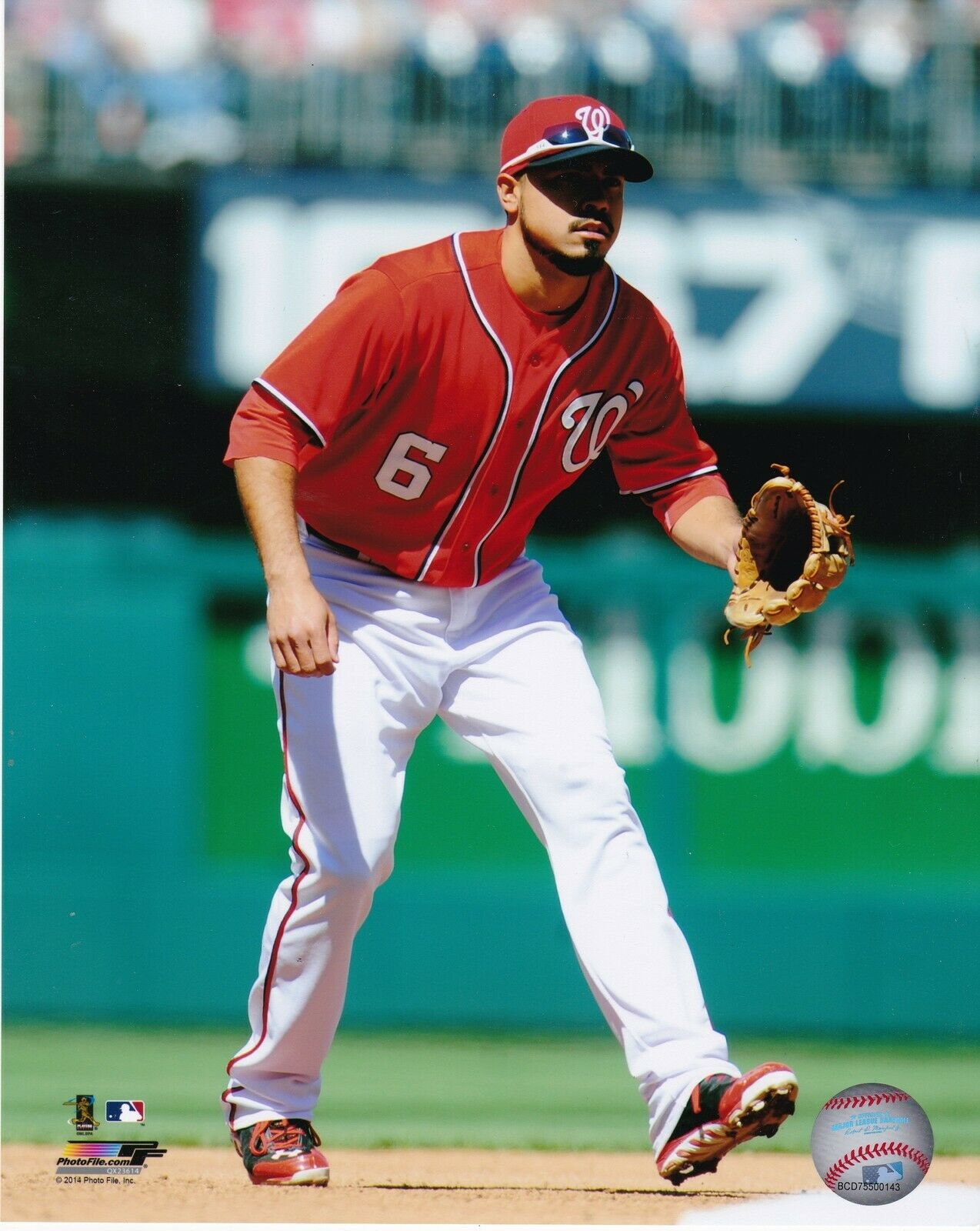 ANTHONY RENDON WASHINGTON NATIONALS Photo Poster paintingFILE LICENSED ACTION 8x10 Photo Poster painting
