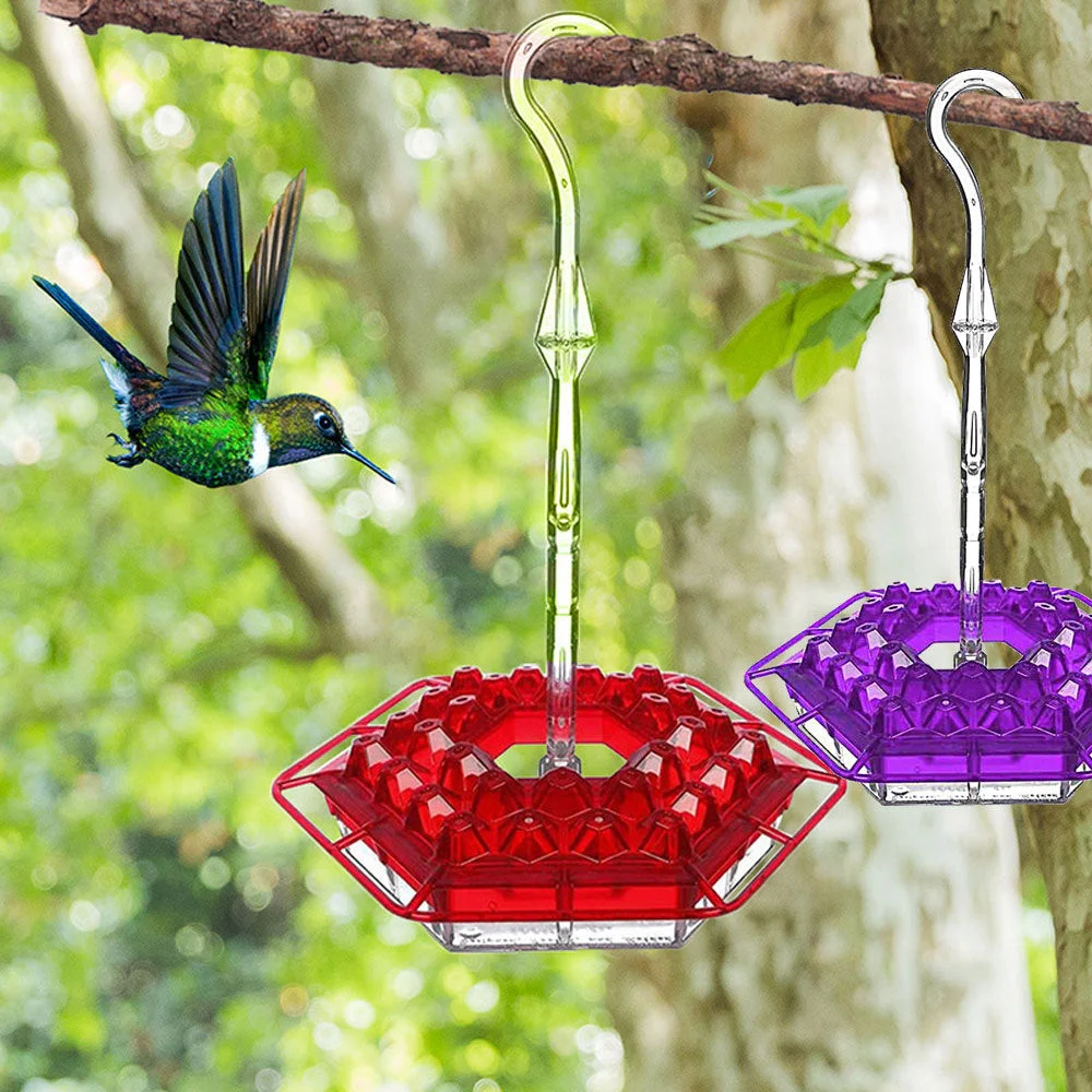 Attracting Hummingbirds' Giant Flower-Shaped Hummingbird Feeder