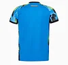 Joyfball 2025/2026 Botafogo Goalkeeper Soccer Jersey