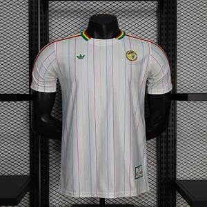 2026 Player Version Senegal National Team Special Edition Football Shirt