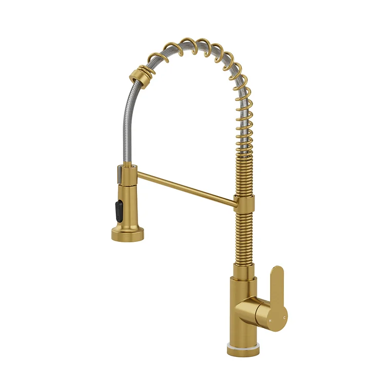 EVERSTEIN Pull Down Kitchen Faucet with LED & Spring Neck Brushed Gold 
