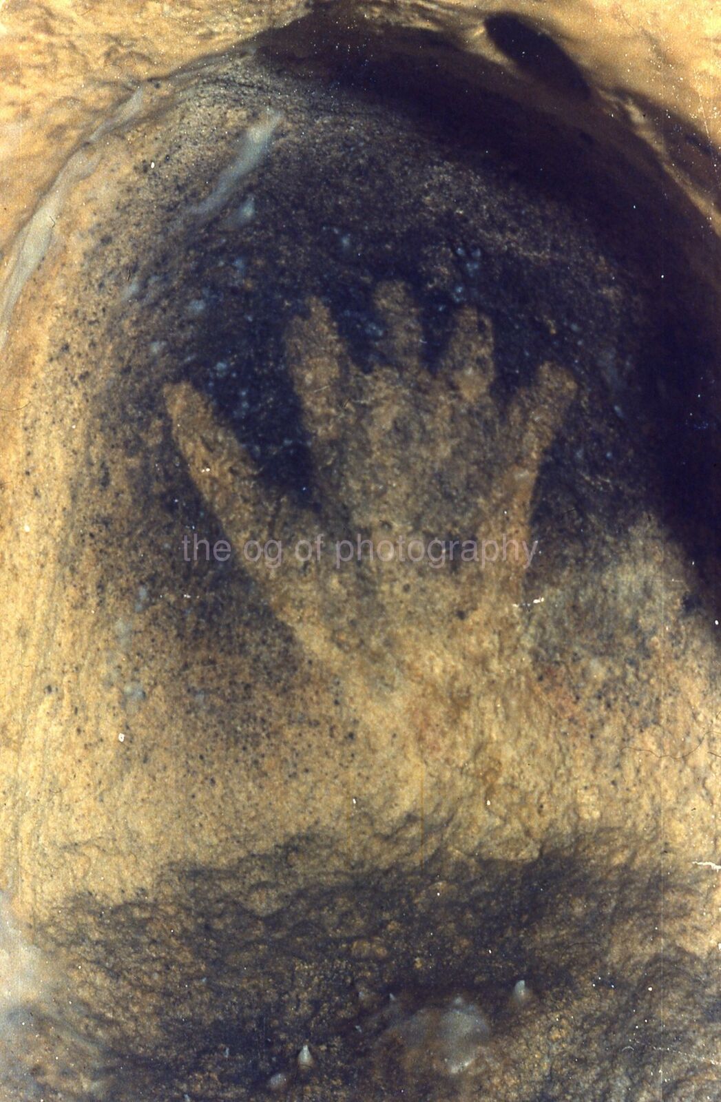 CAVE OF GARGAS France PREHISTORIC Rock ART Hand 35mm FOUND SLIDE Photo Poster painting 011 T 6 A