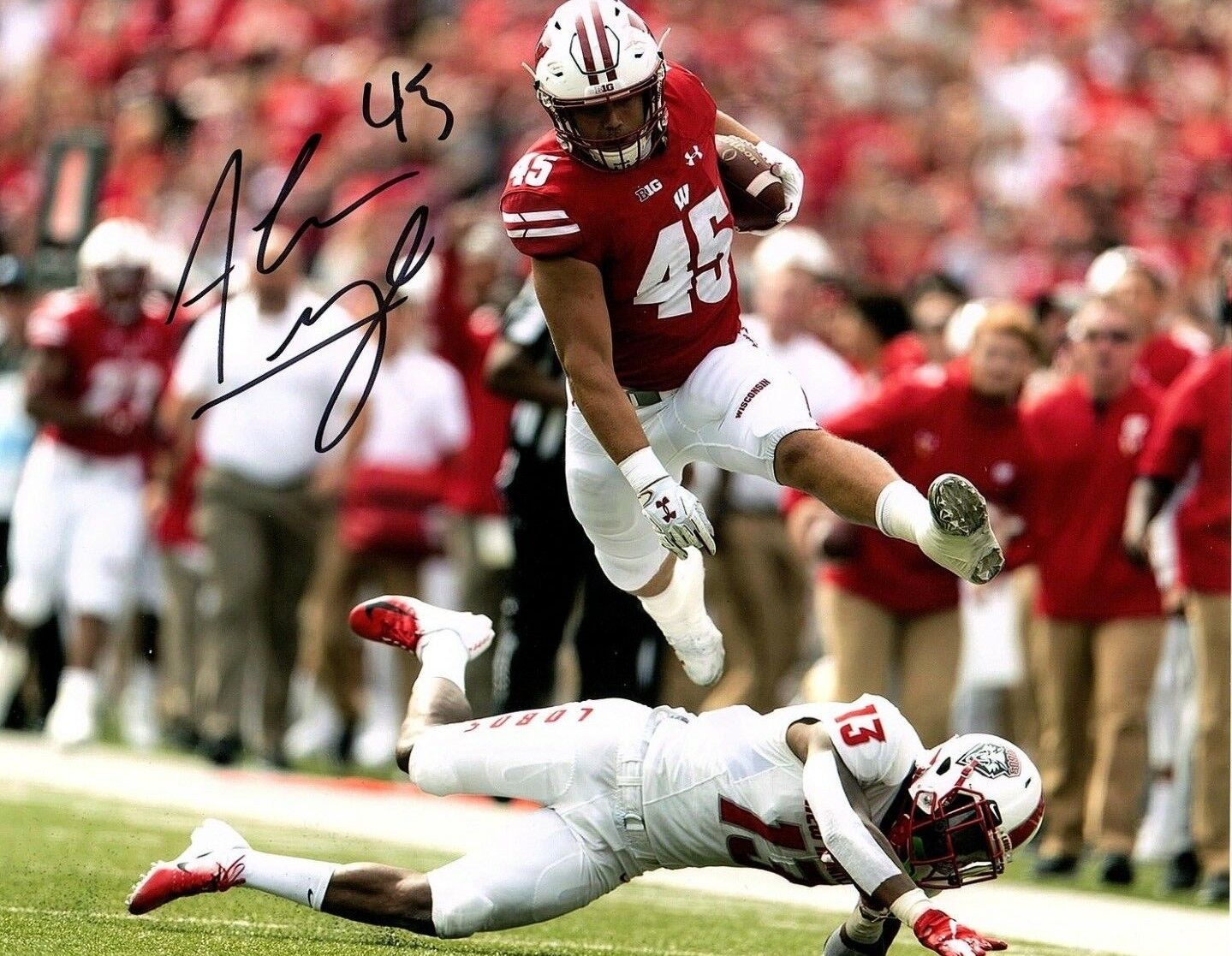 Alec Ingold Wisconsin Badgers signed autographed 8x10 football Photo Poster painting b