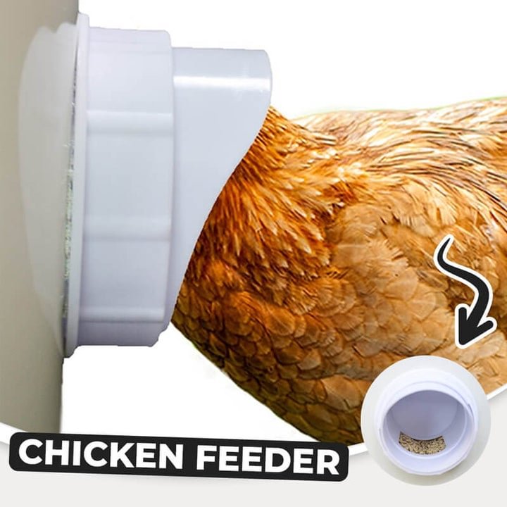 （2022 NEW）DIY Chicken Feeder