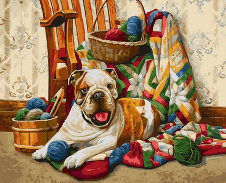 

Couture Dog – Paint By Numbers - 40*50CM, 501 Original