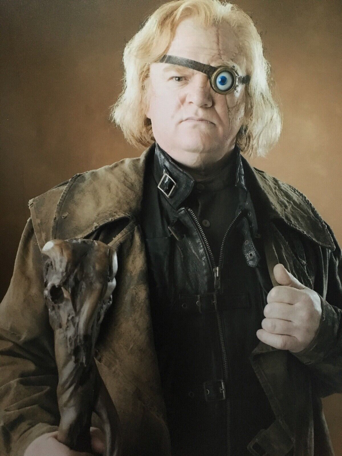 BRENDAN GLEESON - HARRY POTTER FILM ACTOR - EXCELLENT UNSIGNED Photo Poster paintingGRAPH