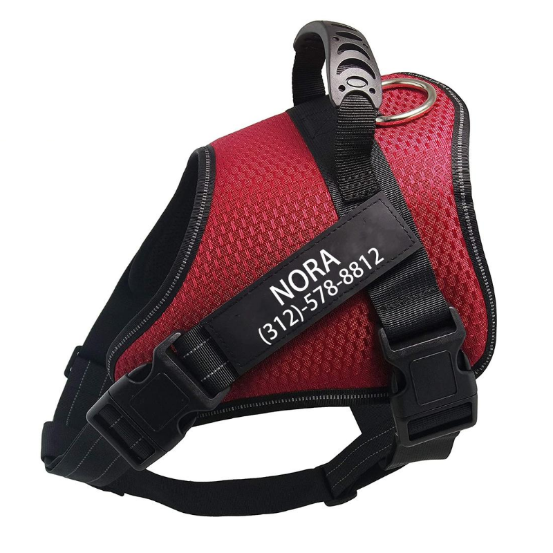 Personalized No Pull Dog Harness