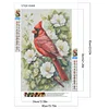 (40*60cm)Cardinal - Full Round Drill Diamond Painting