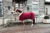 High-end Customized High-quality Horse Clothing Horse Blankets