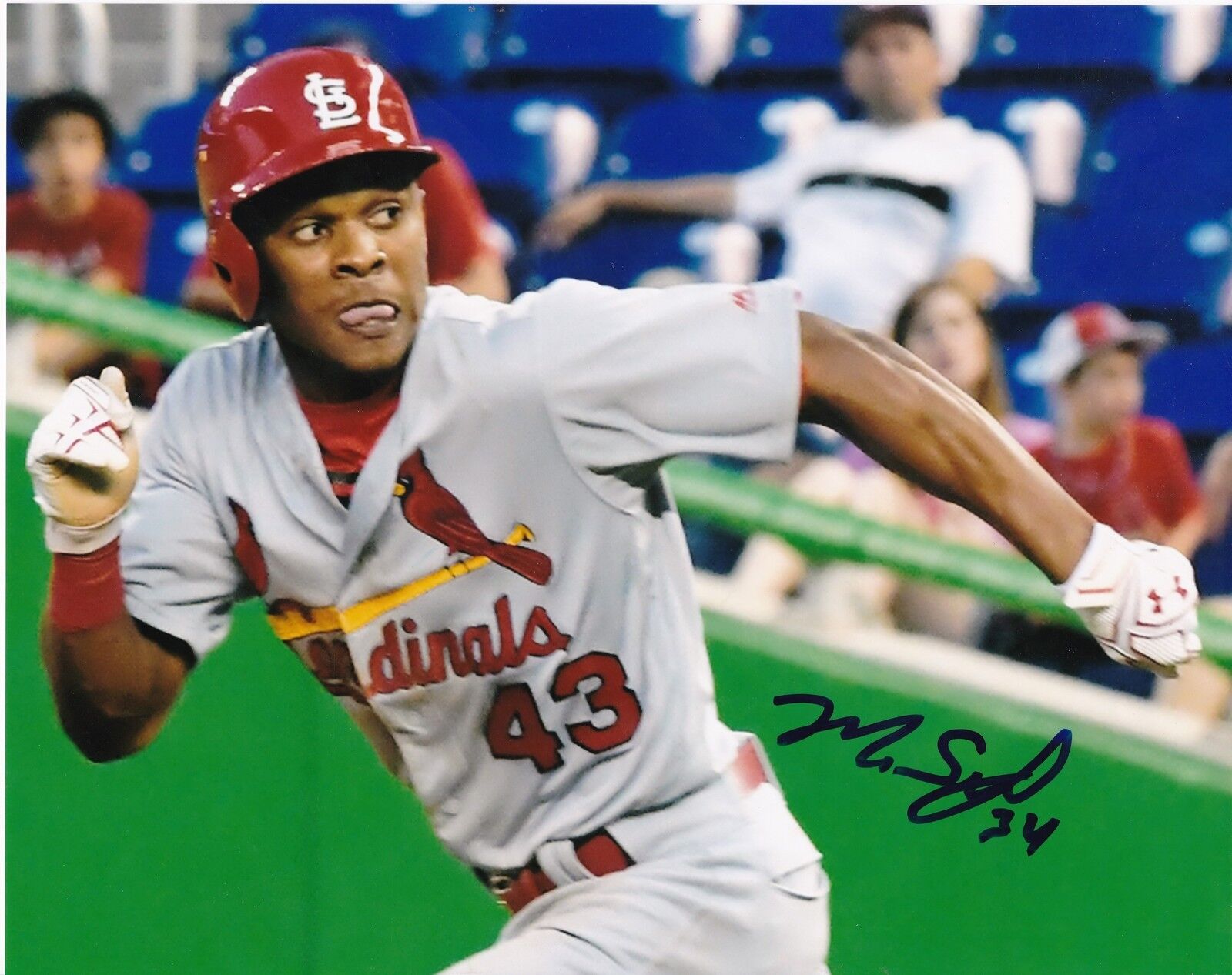 MAGNEURIS SIERRA ST. LOUIS CARDINALS ACTION SIGNED 8x10