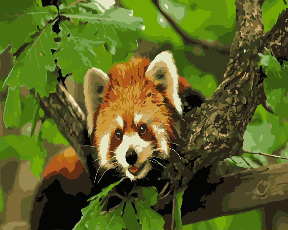 

Little Red Panda on a Branch – Paint By Numbers - 40*50CM, 501 Original