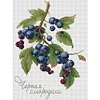 >SALE<Embroidery Eco-cotton Thread 14CT Printed Fruit Cross Stitch Kit Artwork 22x32cm