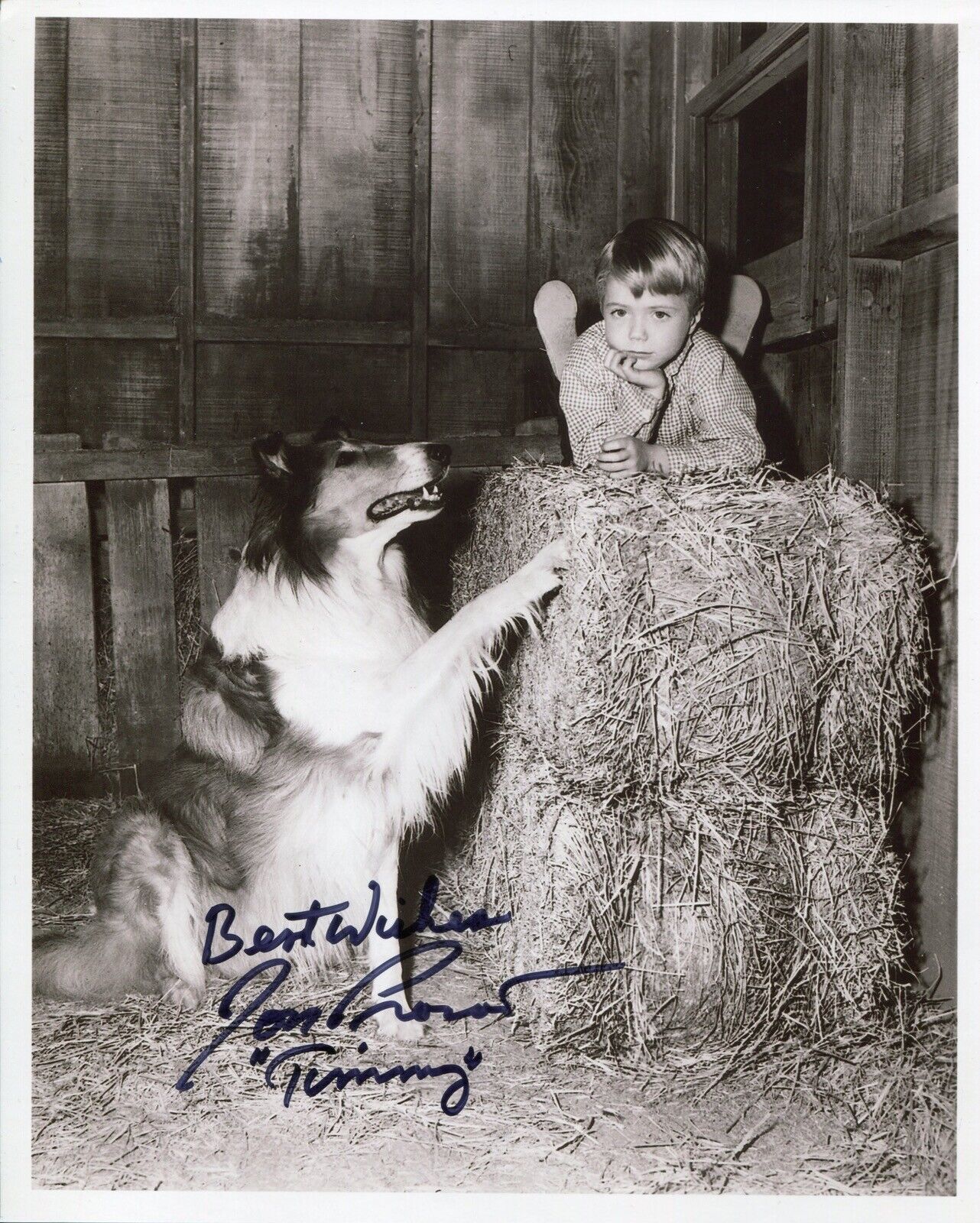 Actor Jon Provost signed LASSIE 8x10 Photo Poster painting IMAGE No5