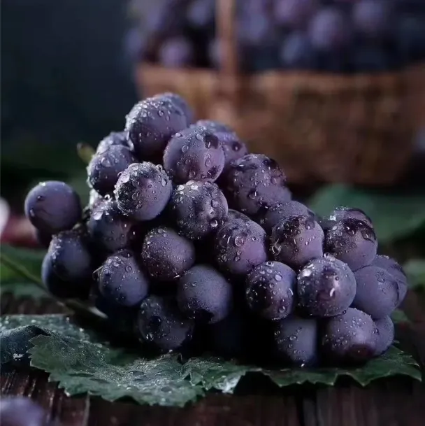 Rainbow Grape Seeds