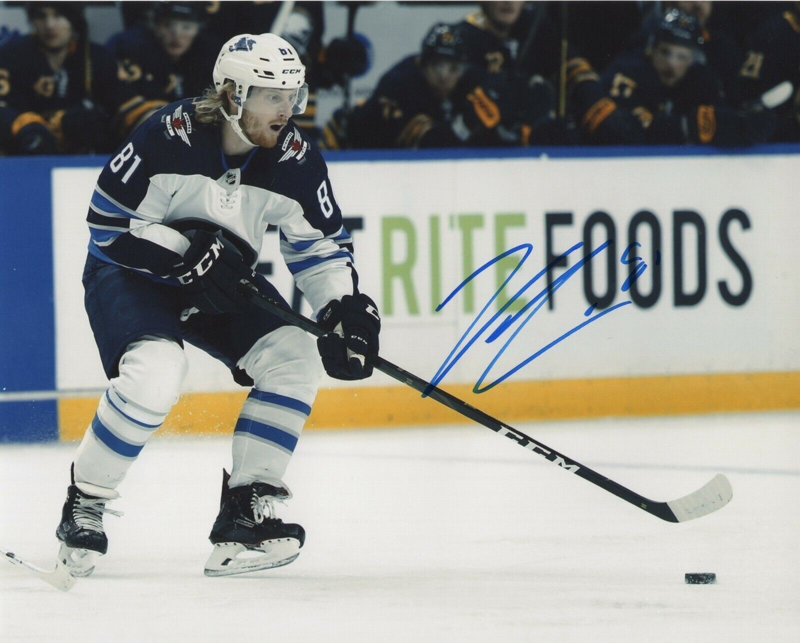 KYLE CONNOR SIGNED AUTOGRAPH WINNIPEG JETS 8X10 Photo Poster painting PROOF