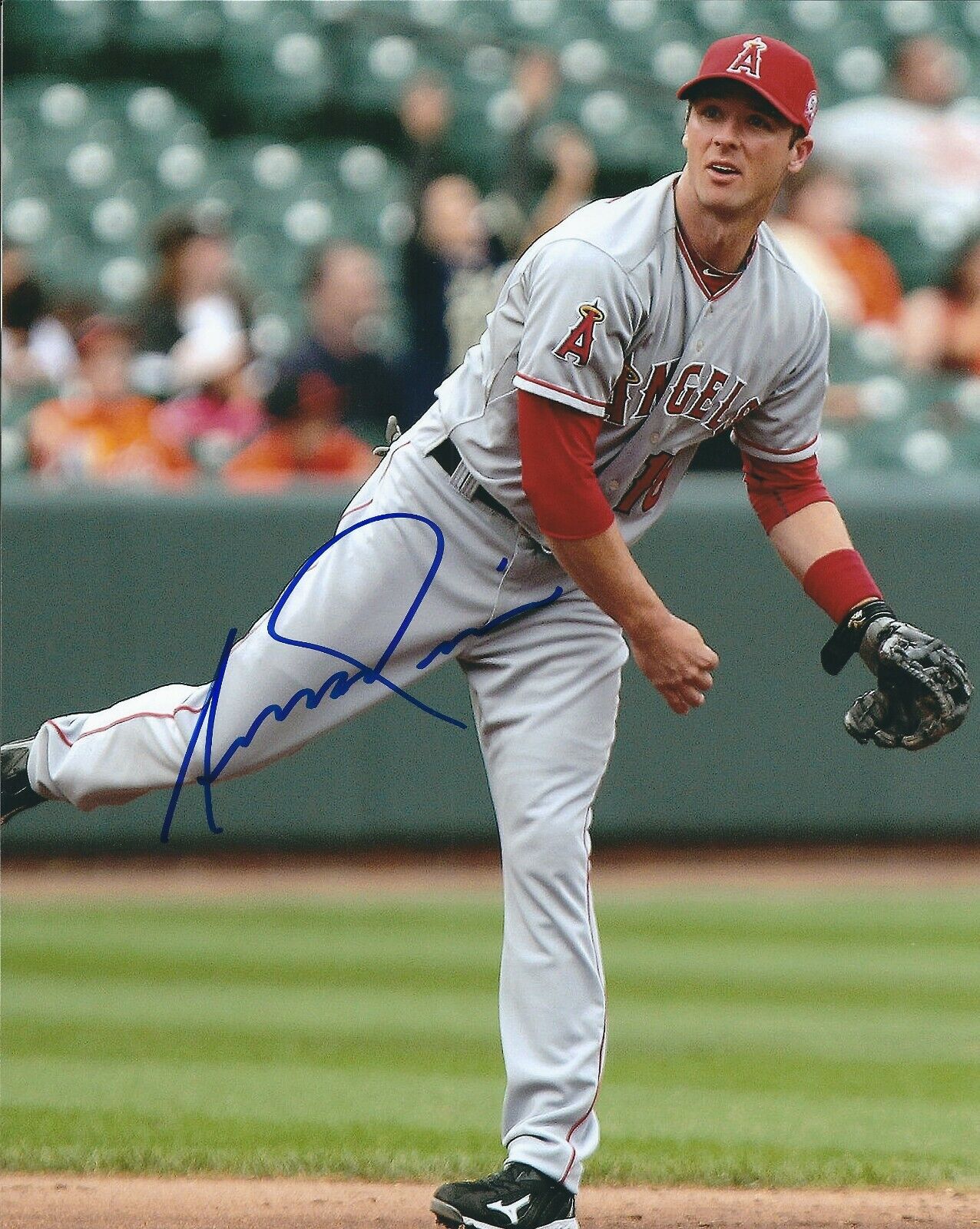Autographed ANDREW ROMINE Los Angeles Angels 8x10 Photo Poster painting w/ COA