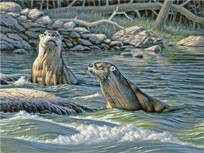 

River Otters – Paint By Numbers - 40*50CM, 501 Original