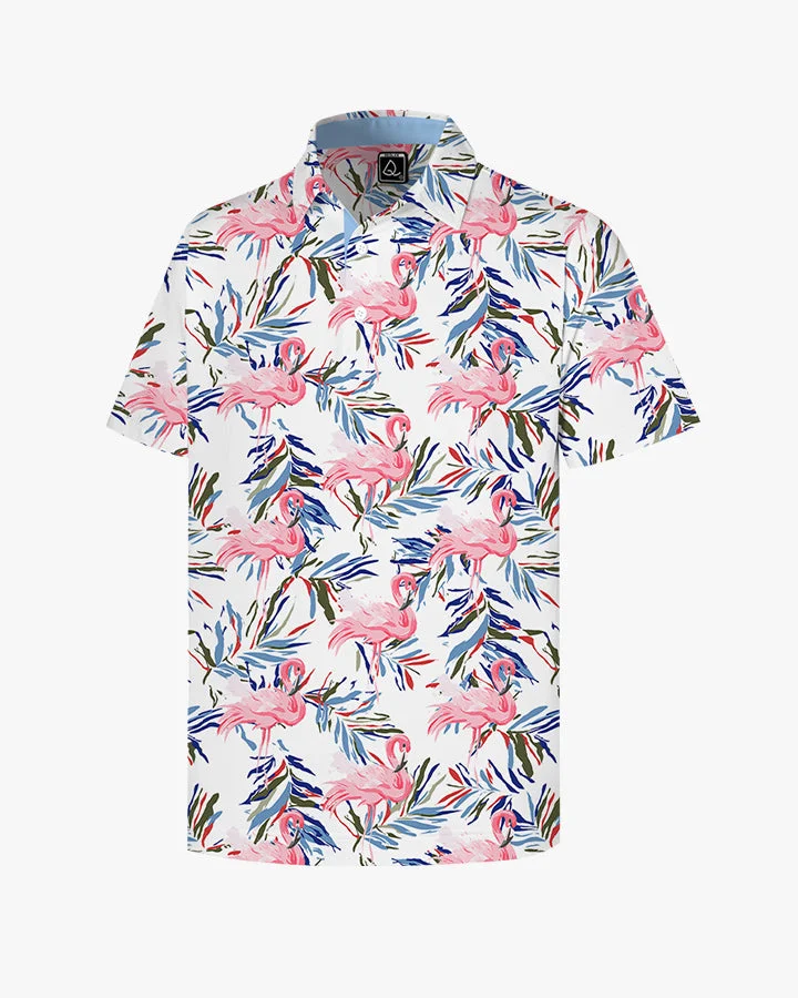 Flamingo Oasis