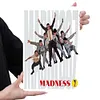Madness - Vintage Metal Signs(8*12Inch)