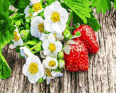 

Strawberry Daisies – Paint By Numbers - 40*50CM, 501 Original