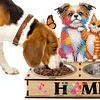 Bol en bois pour chien - 5d bricolage d&eacute;coration artisanale