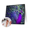 uk.everydayedeals (Limited Stock)Paint By Number - Oil Painting -  Peacock (40*40Cm)
